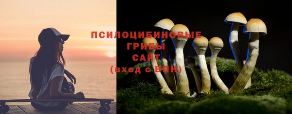 мескалин Мегион