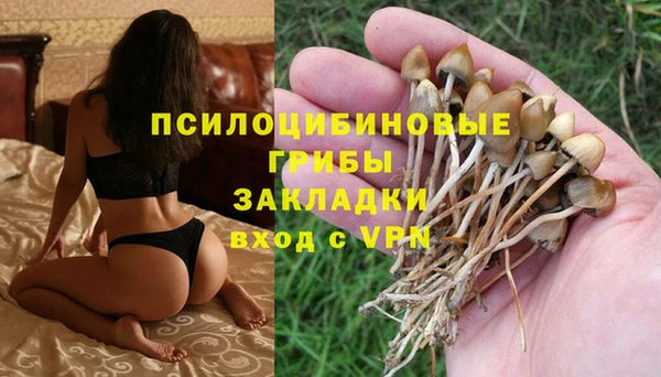 прущая мука Медногорск