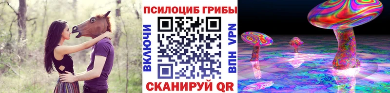 Псилоцибиновые грибы Cubensis  mega   Шатура  купить наркоту 