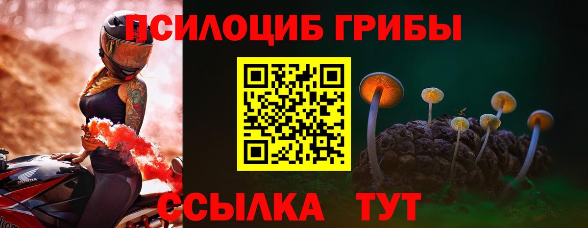 Псилоцибиновые грибы Psilocybine cubensis Шатура